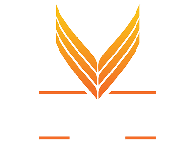 vasavi Group